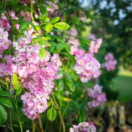Middle Cottage Southlands Farm Gunnerton 外观 照片