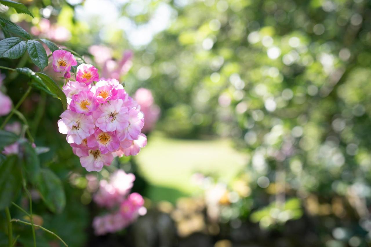 Middle Cottage Southlands Farm Gunnerton 外观 照片